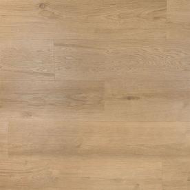 Douwes Dekker Ambitieus Klik Riante plank Gemberkoek 10524