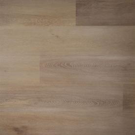 Douwes Dekker Ambitieus Klik Riante plank Honing 04850
