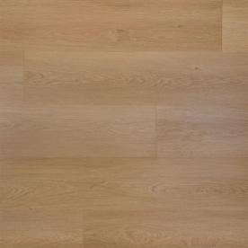 Douwes Dekker Nieuwe Oogst Plak Plank Perzik 10824